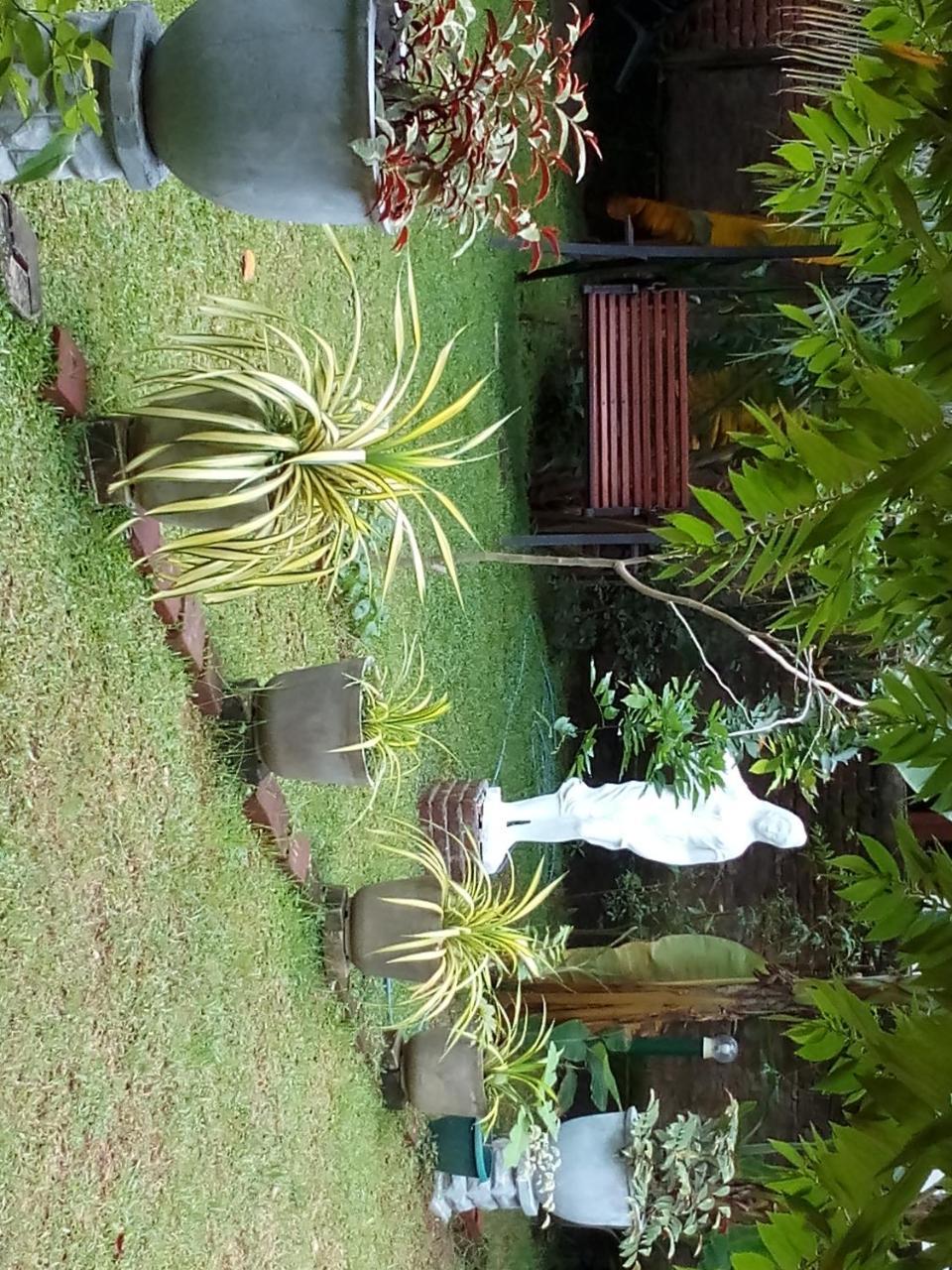 Waterway Garden Villa Polonnaruwa Eksteriør bilde